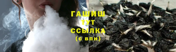 винт Инта