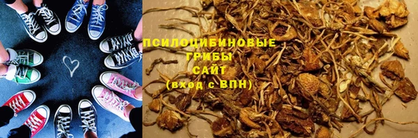 спиды Каменск-Шахтинский