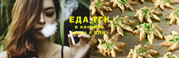 винт Инта