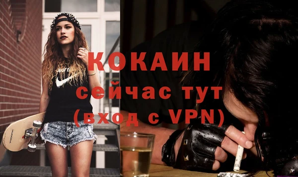 винт Инта